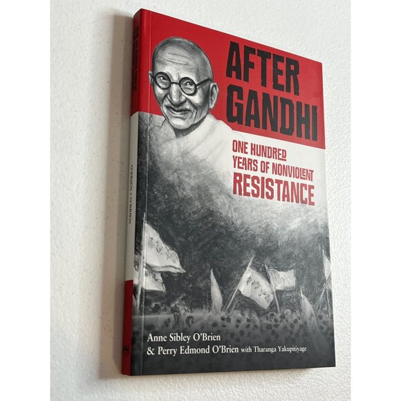 After Gandhi Book Kids Biography One Hundred Years of Nonviolent Resistance - Picture 3 of 6